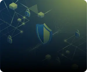 Vulnerability Assessment & Penetration Testing